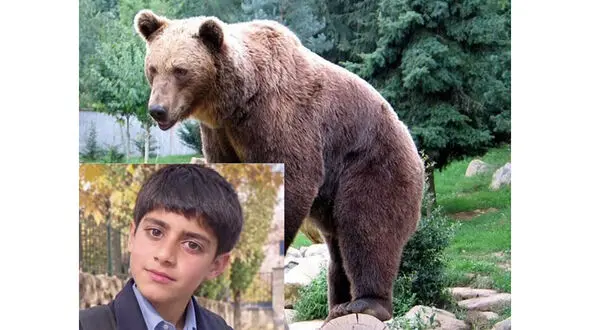 دستور ویژه دادگستری کرمان برای مرگ نوجوان 14 ساله در پی حمله خرس + عکس