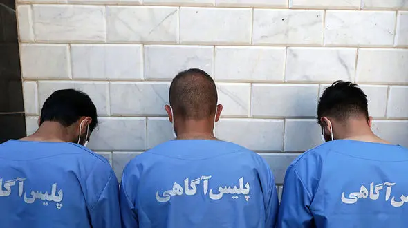 6 مرد با بی آبرویی وارد خانه ها در پردیس می شدند