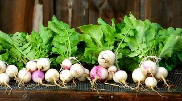 دشمن سرطان را بشناسید