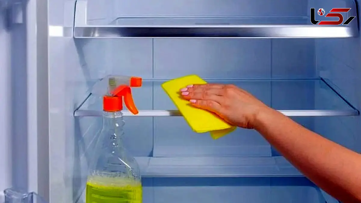 راهنمای کامل تمیز کردن یخچال: از کجا شروع کنیم و چگونه انجام دهیم؟