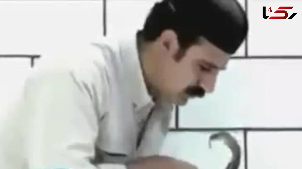 نمایش عجیب مرد بختیاری با مارها/ نگاه جهانیان به این مرد جلب کرد +فیلم