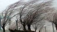 سرعت وزش باد در فرودگاه زنجان به ۶۵ کیلومتر بر ساعت رسید