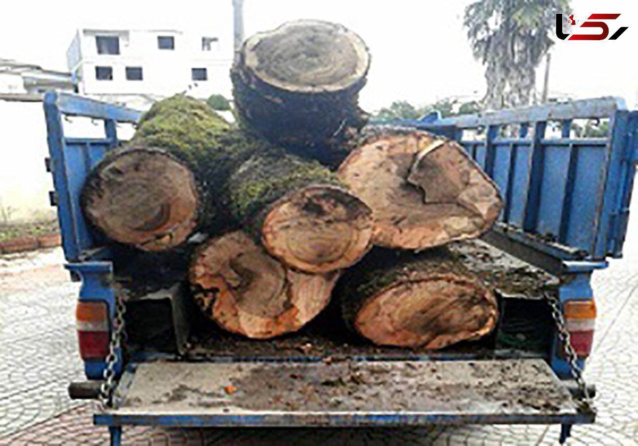 توقیف کامیونت حامل چوب قاچاق در دامغان