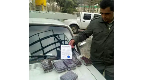 فروش گوشت گنجشک در بسته‌های ۵۰ عددی در کرج+عکس