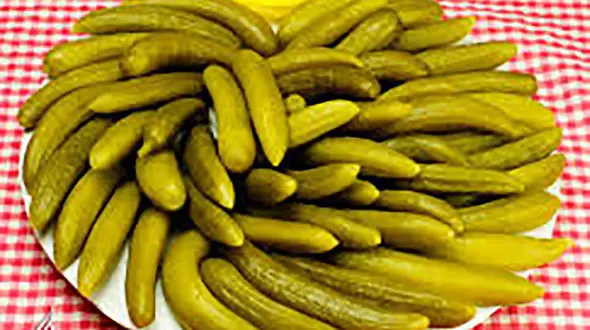  غذاهای سرشار از پروبیوتیک کدامند؟