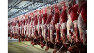 گوشت قرمز برای کنترل بازار وارد می شود 