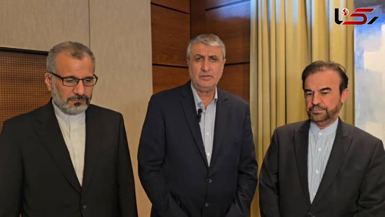 سفر به وین با دستاوردهای مهم به پایان رسید / گامی مثبت برای ایران 