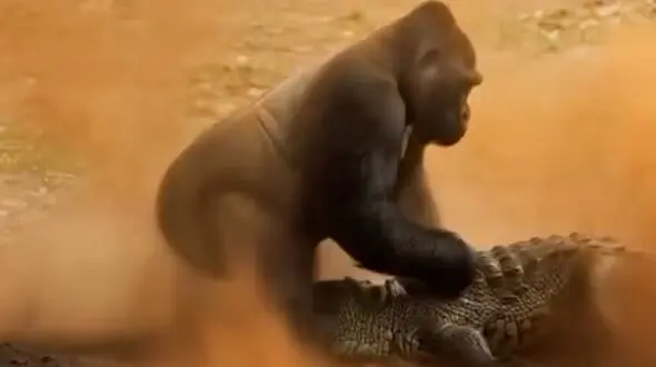 فیلم حمله تمساح به بچه گوریل ساخته‌شده با هوش مصنوعی