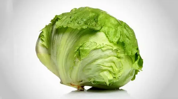 وحشت مردم از ساخت کاهو مصنوعی / این عجیب ترین فیلمی است که می بینید!