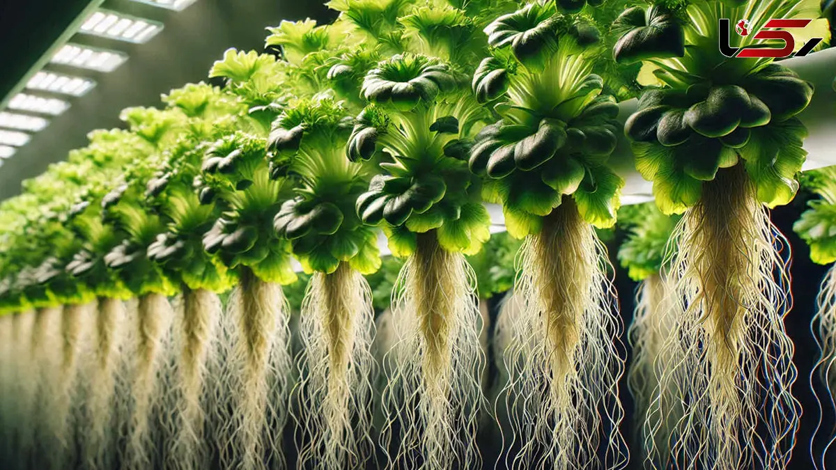 مزرعه آئرپونیک بادی؛ راهی نو برای کشاورزی در بیابان‌ های ایران