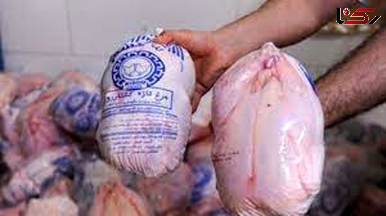 توزیع ۹۰ تن مرغ منجمد وارداتی تنظیم بازار در استان قزوین

