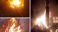 آتش در نخلستان در عصر بی آبی آبادان + عکس تلخ