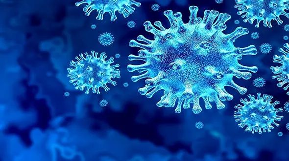 مرگ ی زوج کرونایی فقط به فاصله 15 دقیقه