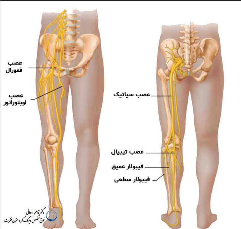 اعصاب دیسک کمر