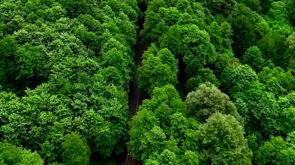 از پنجره خلیج فارس تا گیلان زیبا