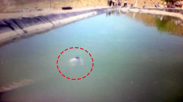 مرگ معمایی دو چوپان در استخر مصنوعی+عکس