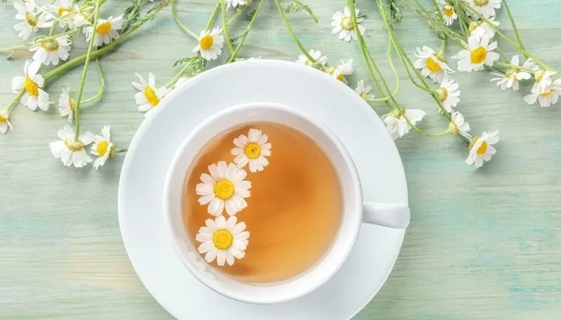 دمنوش بابونه