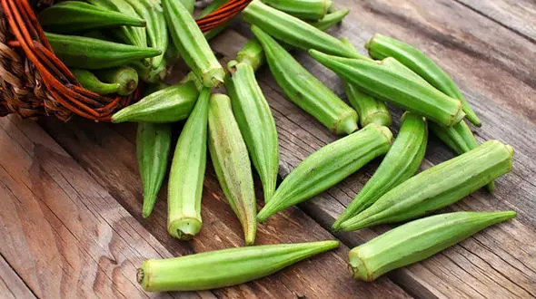 بهبود دیابت و تخمک‌گذاری با یک گیاه خورشتی!