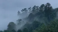 دو چهره زیبای ایران