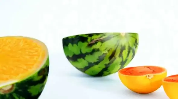 غیر منتظره ترین ویدئو جهان را ببینید! + فیلم