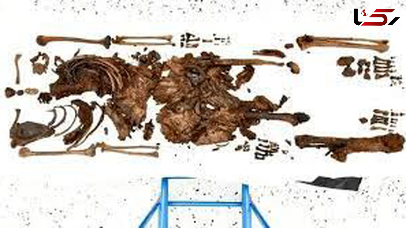 کشف اسکلت 2 هزار ساله یک نوجوان ۱۳ ساله + جزییات