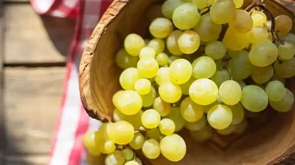 رویدادها نبض گردشگری شدند؛ جشنواره‌ها مسافران را فرا می‌خوانند