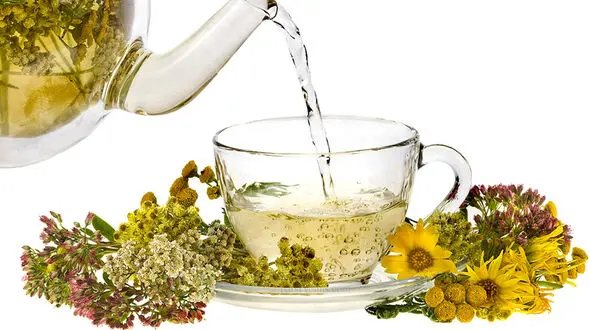 کنترل یک اختلال مغزی با گیاهان دارویی
