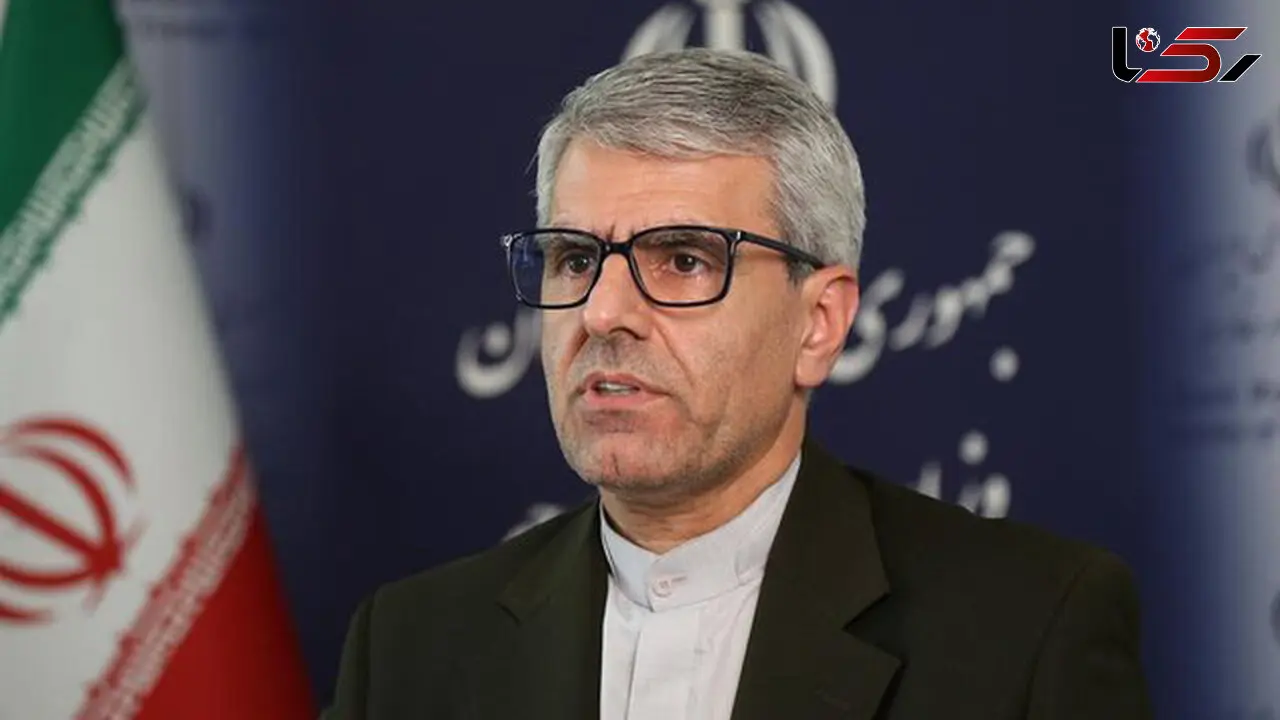 بقائی: پیگیری‌ها برای آزادی مشروط و انتقال مهدیه اسفندیاری به مکانی خارج از زندان ادامه دارد