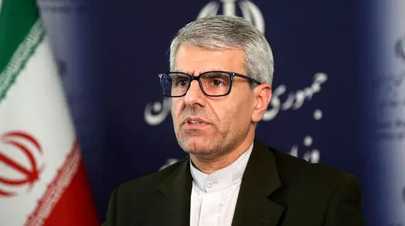 بقائی: پیگیری‌ها برای آزادی مشروط و انتقال مهدیه اسفندیاری به مکانی خارج از زندان ادامه دارد