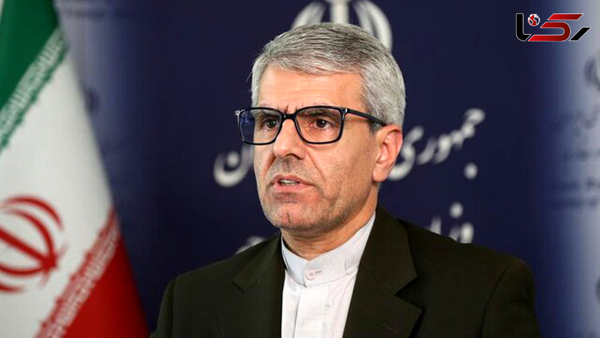 بقائی: پیگیریها برای آزادی مشروط و انتقال مهدیه اسفندیاری به مکانی خارج از زندان ادامه دارد