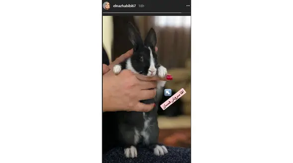 عکس بامزه و جالب حیوان خانگی خانم بازیگر 