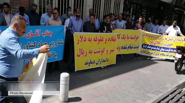 بهترین گوشت و شیر داخلی خریدار ندارد / گوشت بی کیفیت وارداتی بلای جان دامداران شده است + فیلم