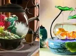 چگونه آکواریوم مدل مینی شیشه‌ ای را با گیاهان آپارتمانی ست کنیم؟ / 15 روش جذاب