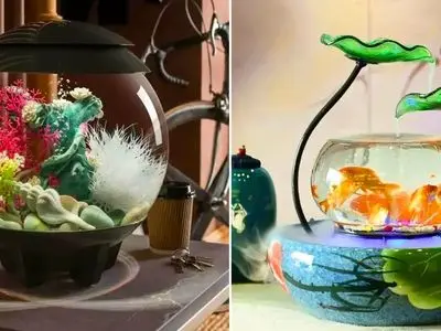 چگونه آکواریوم مدل مینی شیشه‌ ای را با گیاهان آپارتمانی ست کنیم؟ / 15 روش جذاب