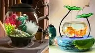 چگونه آکواریوم مدل مینی شیشه‌ ای را با گیاهان آپارتمانی ست کنیم؟ / 15 روش جذاب