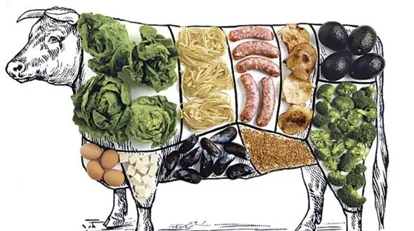 ترک اعتیاد به گوشت 