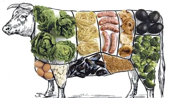 ترک اعتیاد به گوشت 