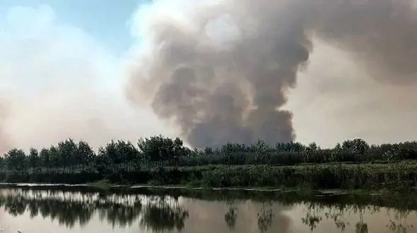 گسترده تر شدن آتش در ۴۰ هکتار از تالاب انزلی / ایجاد حریق عمدی در بستر تالاب + فیلم 