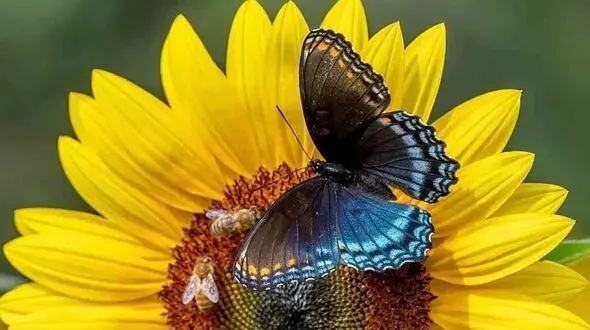 پیام کائنات برای امروز + فیلم