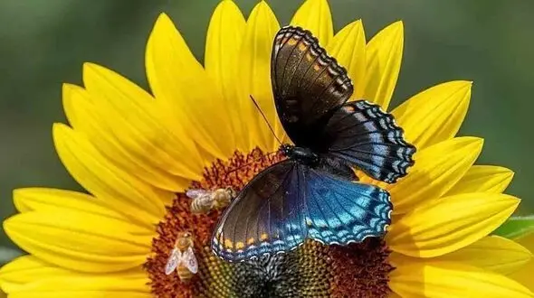 پیام کائنات برای امروز + فیلم