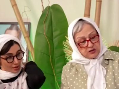 فیلم بگو مگوی مریم امیرجلالی با سیما تیرانداز در شام ایرانی ! / خانم جلالی ول کن عصبی بازی نیستا !