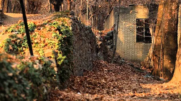 عکس های پاییزی بی نظیر و اختصاصی رکنا