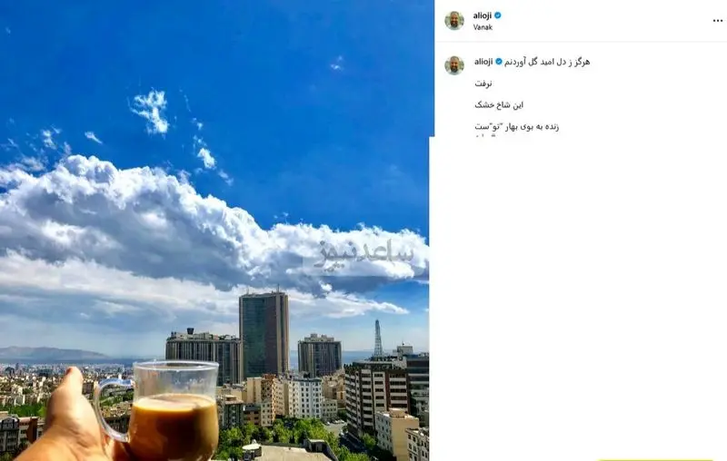 چیدمان منزل علی اوجی و نرگس محمدی