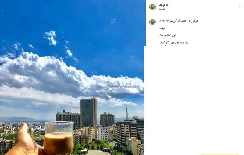 چیدمان منزل علی اوجی و نرگس محمدی