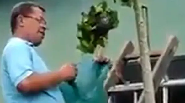 فیلم حمله زنبورها به مرد کشاورز / کندو عسل را ویران کرده بود + فیلم