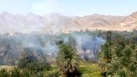 آتش در نخلستان های روستای سینوکان سراوان /۳۰۰اصله نخل در آتش سوخت 