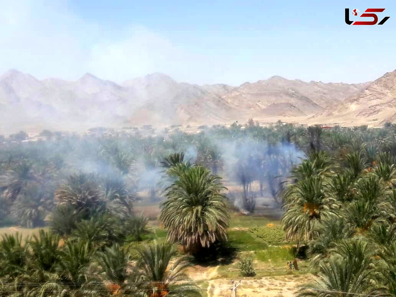 آتش در نخلستان های روستای سینوکان سراوان /۳۰۰اصله نخل در آتش سوخت 