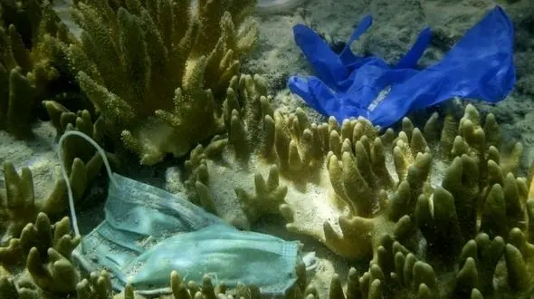 تولید ماسک صورت در دو سال 194 برابر شد / آلودگی ماسک های صورت،تهدیدی جدی برای طبیعت
