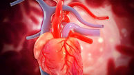 نارسایی قلبی کی اتفاق می‌افتد ؟ / علائم اولیه
