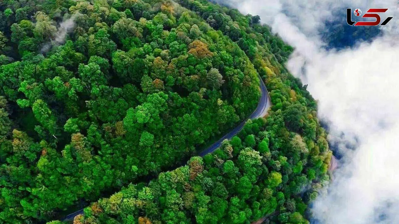فیلم جاده رویایی اسالم به گیسوم